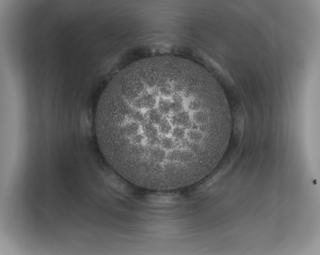 X0000111180661200907011411