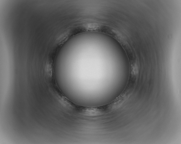 X0000111180666200907011411