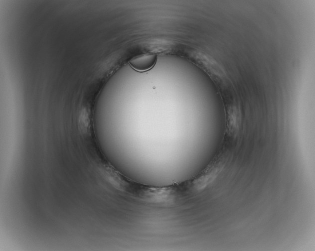 X0000111180667200907011411