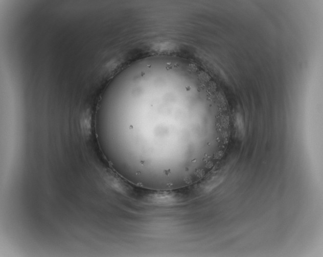 X0000111180668200907011411