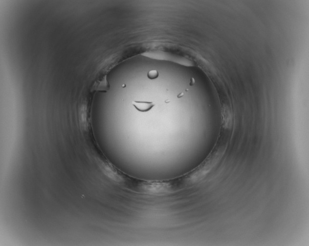 X0000111180670200907011411