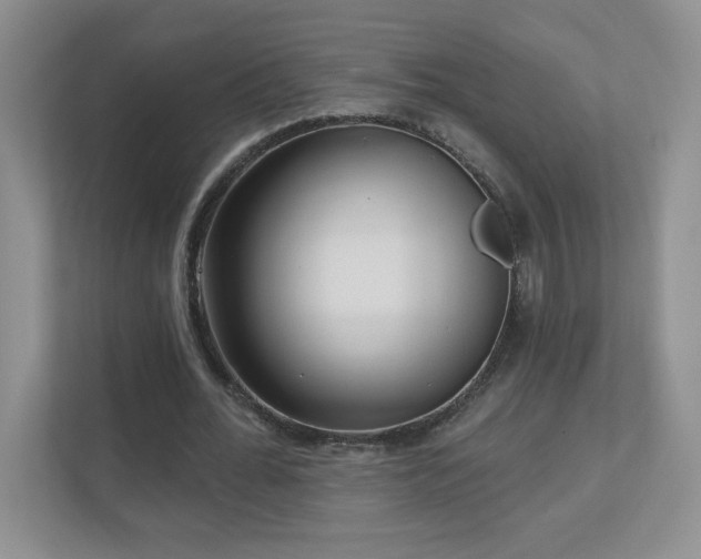 X0000111180676200907011410