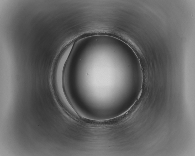 X0000111180677200907011410