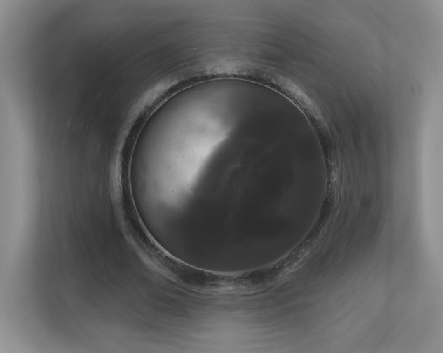 X0000111180678200907011410