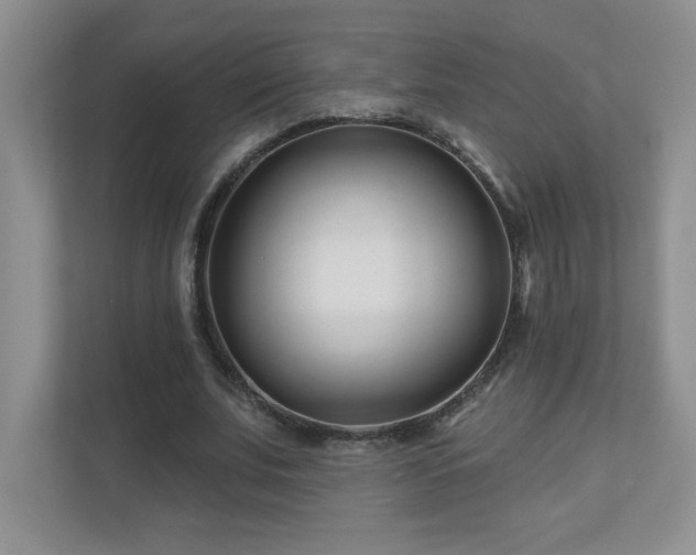 X0000111180679200907011410