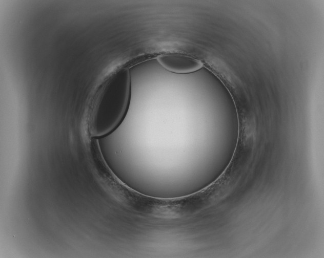 X0000111180680200907011410