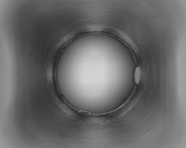 X0000111180681200907011410