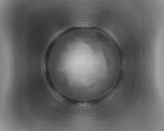 X0000111180688200907011410