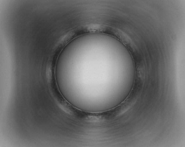 X0000111180690200907011410