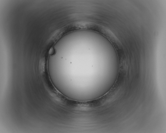 X0000111180694200907011410