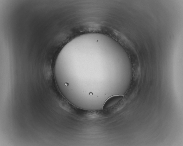 X0000111180704200907011410