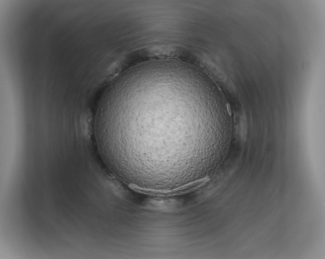 X0000111180712200907011410