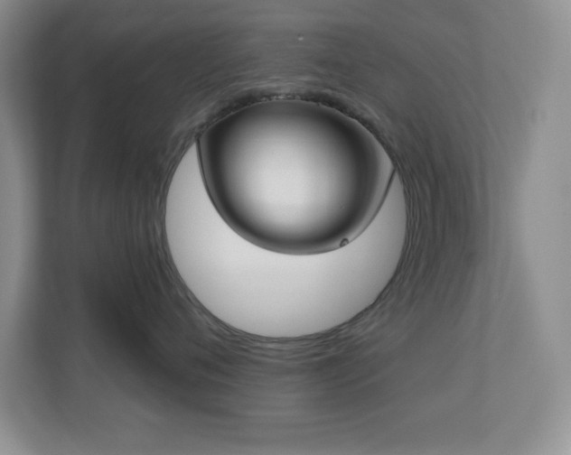 X0000111180720200907011410