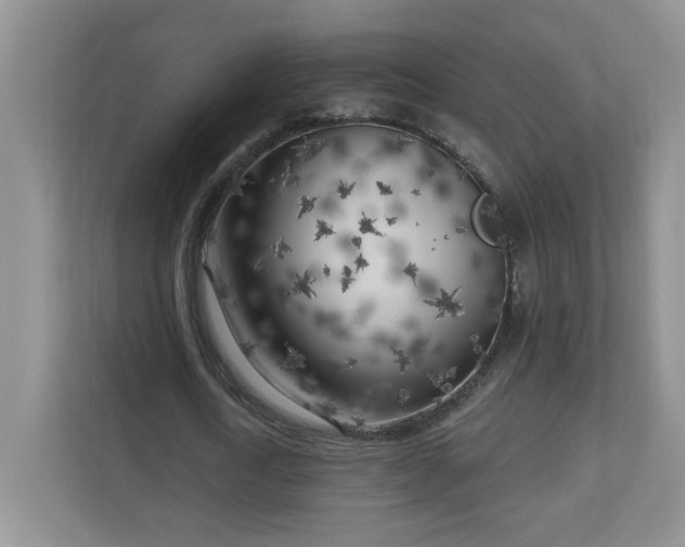 X0000111180722200907011409