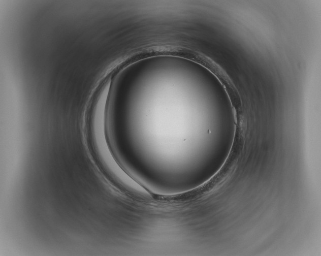 X0000111180725200907011409