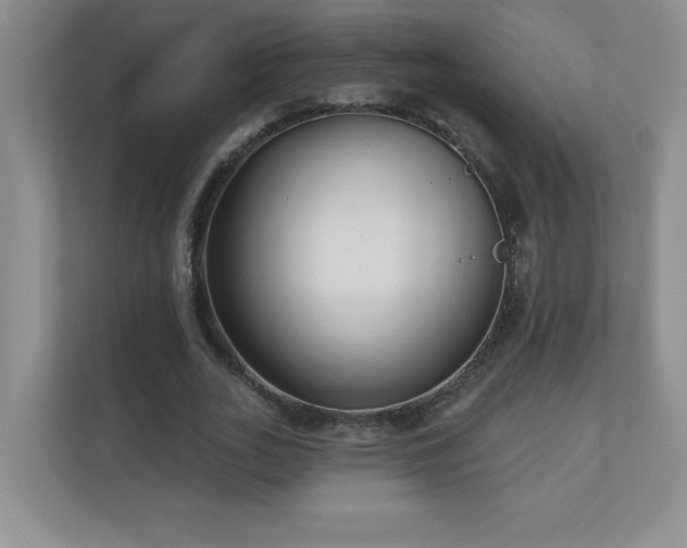 X0000111180727200907011409