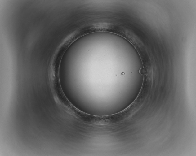 X0000111180731200907011409