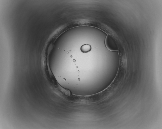 X0000111180732200907011409