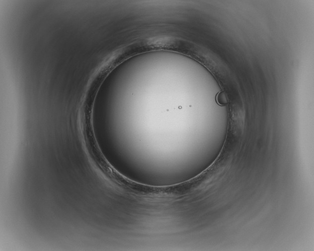 X0000111180734200907011409