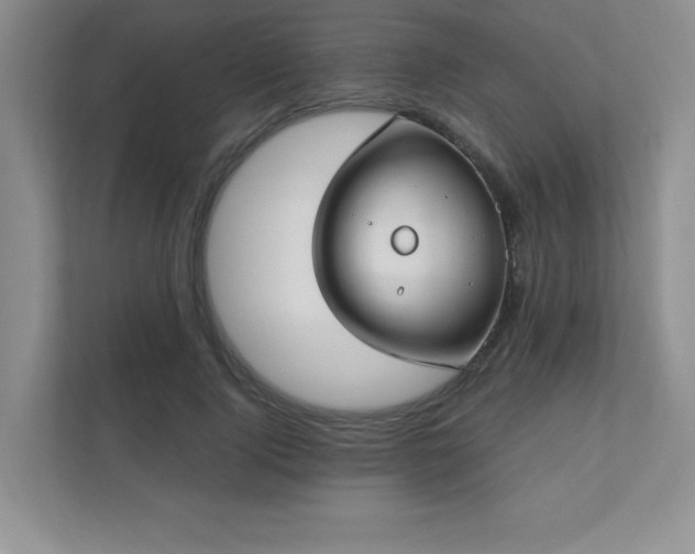 X0000111180740200907011409