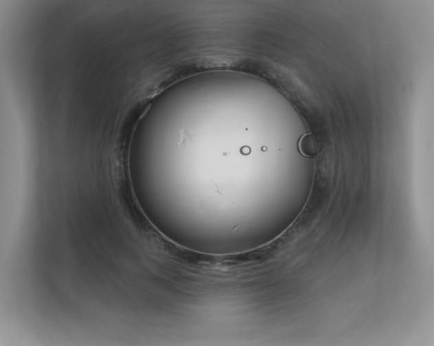 X0000111180743200907011409