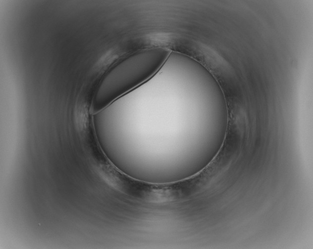 X0000111180744200907011409