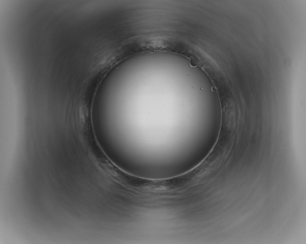 X0000111180747200907011409