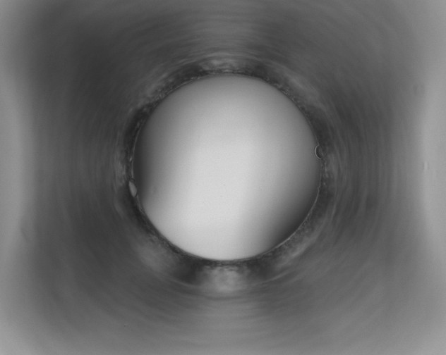 X0000111180751200907011410