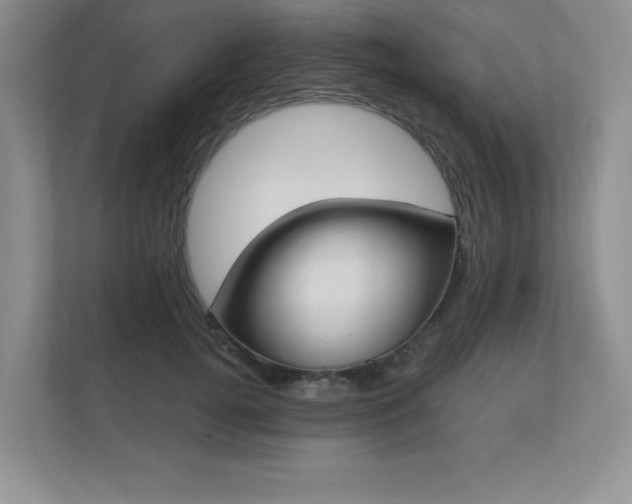 X0000111180752200907011410