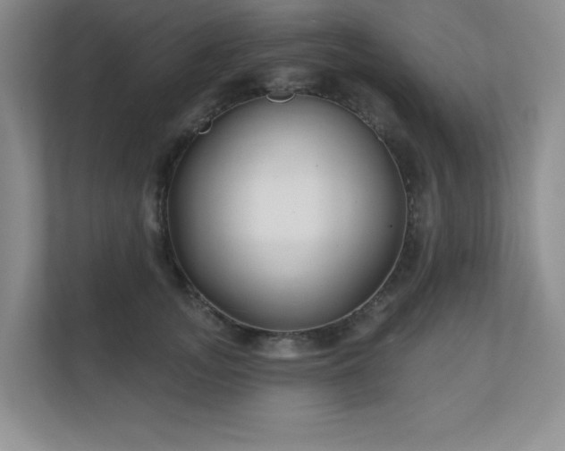 X0000111180755200907011410