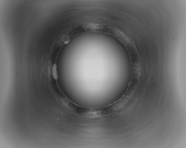 X0000111180760200907011410