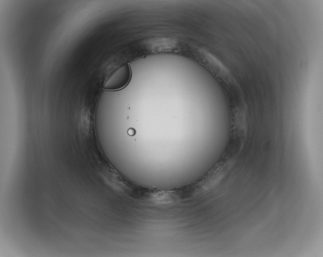 X0000111180761200907011410