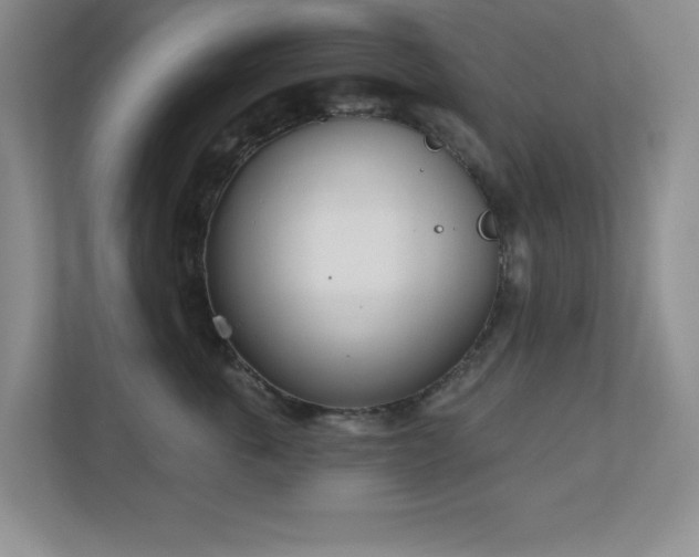 X0000111180763200907011410