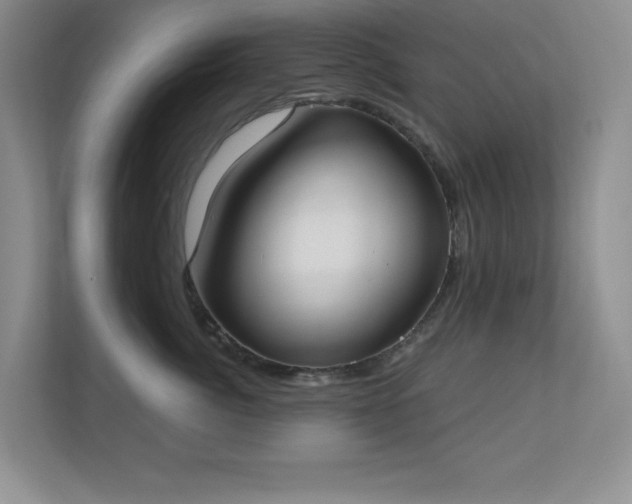 X0000111180764200907011410