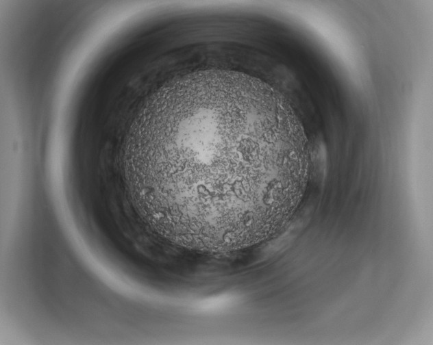 X0000111180765200907011410