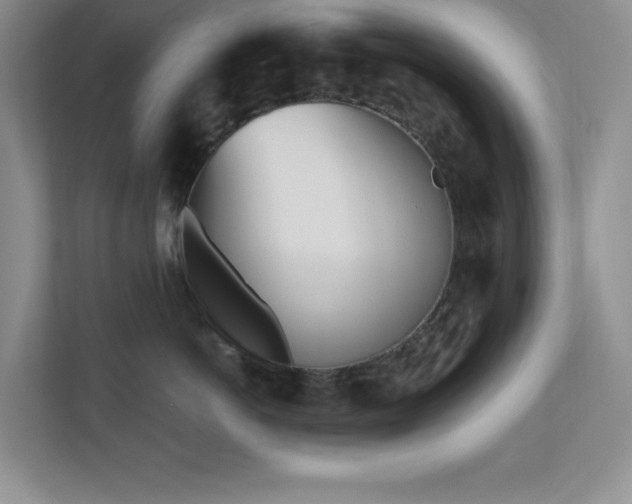 X0000111180766200907011410