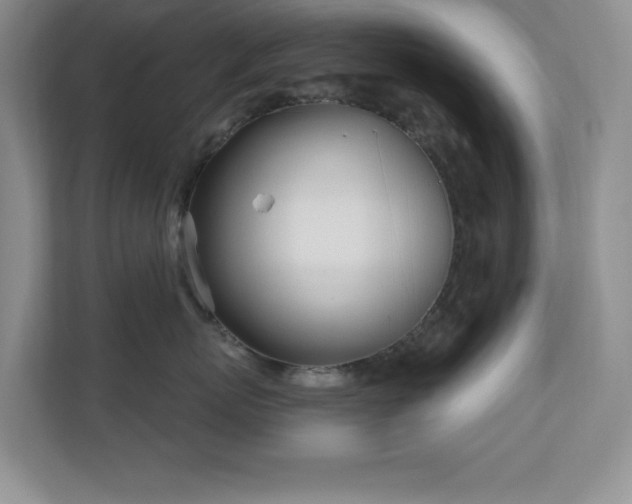 X0000111180767200907011410