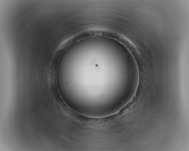 X0000111180775200907011409