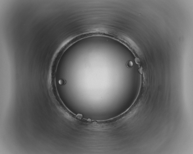 X0000111180780200907011409