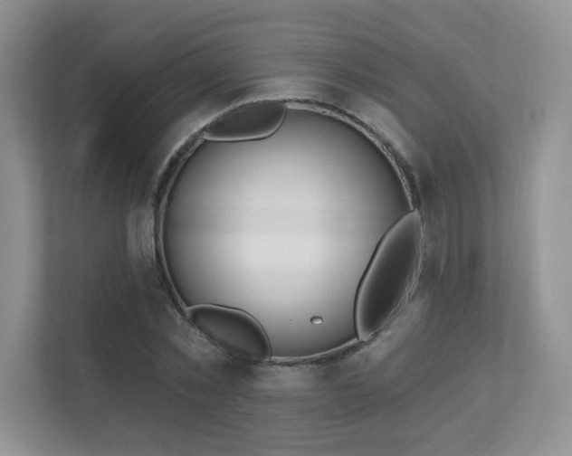 X0000111180781200907011409