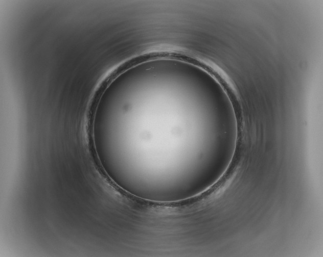 X0000111180783200907011409