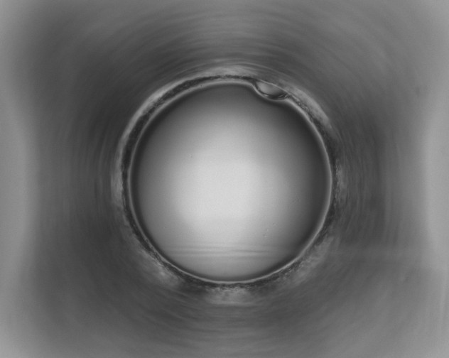 X0000111180784200907011409