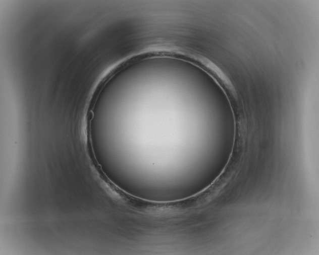 X0000111180791200907011409