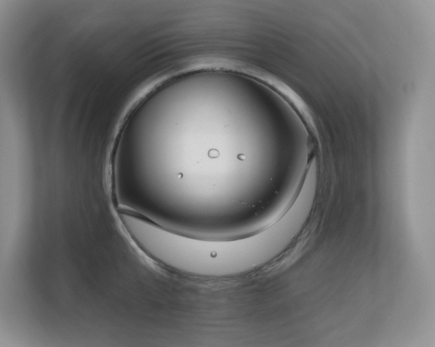 X0000111180807200907011409