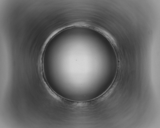 X0000111180808200907011409