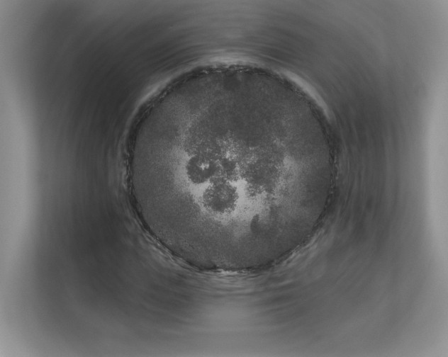 X0000111180823200907011408