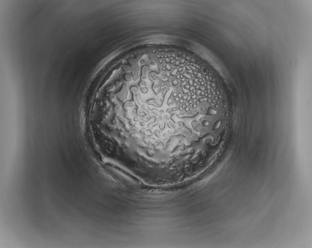 X0000111180829200907011408