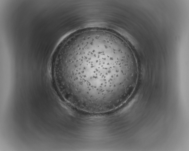 X0000111180830200907011408