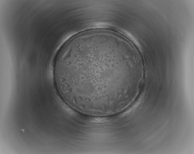 X0000111180835200907011408
