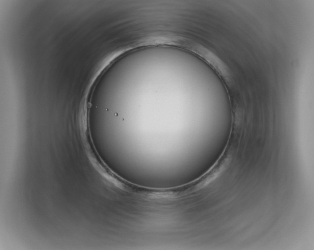 X0000111180844200907011408